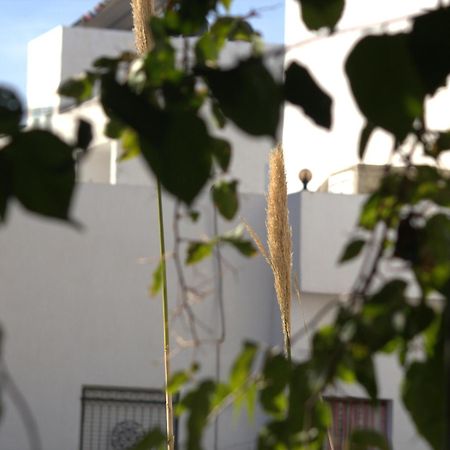 Residence Sterne Hammam al Ghazzaz Dış mekan fotoğraf