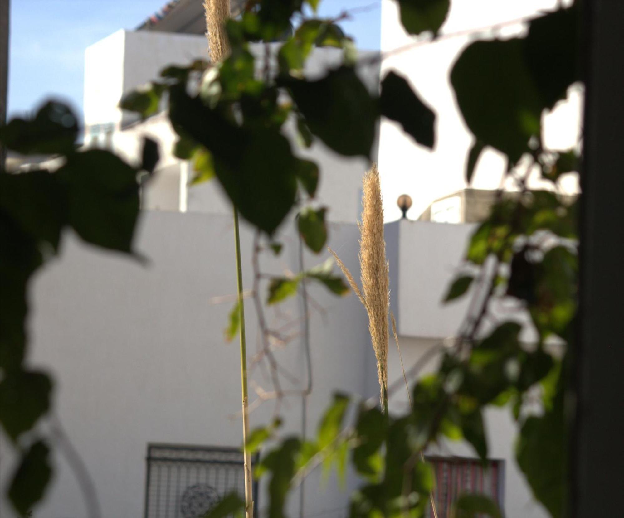 Residence Sterne Hammam al Ghazzaz Dış mekan fotoğraf
