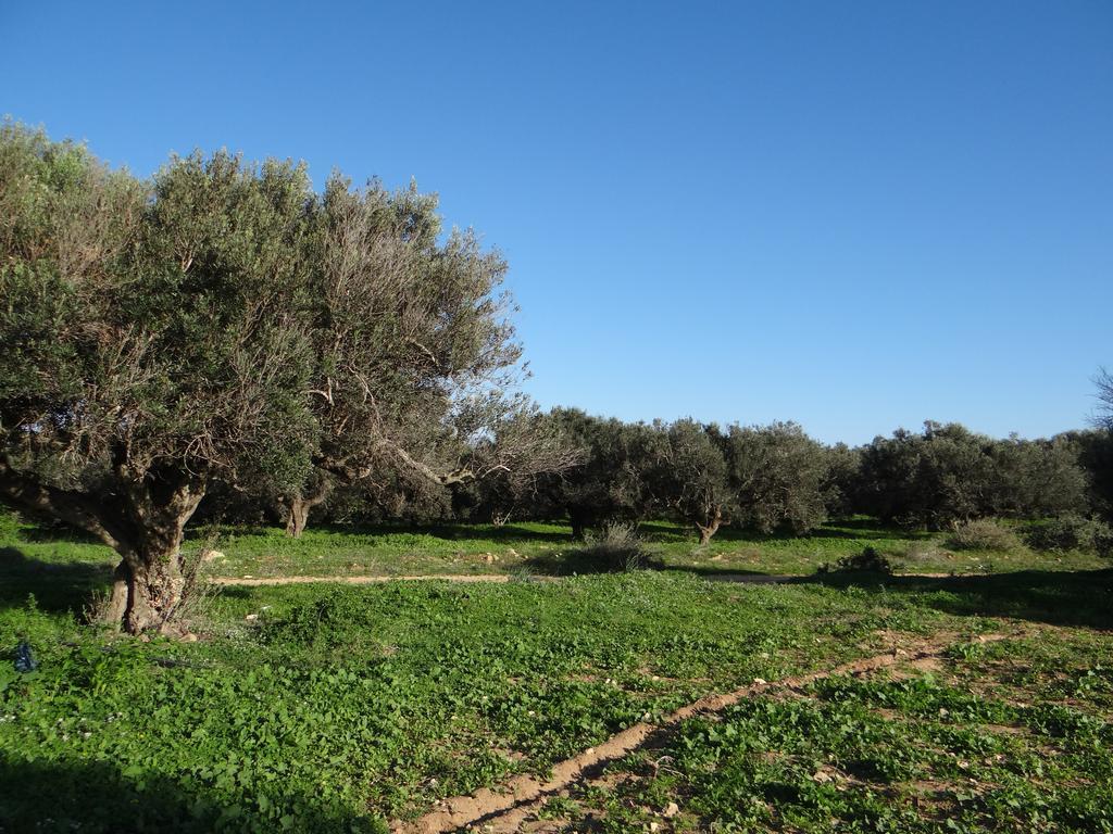 Residence Sterne Hammam al Ghazzaz Dış mekan fotoğraf